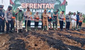 Forkopimda Merangin melakukan penanaman serentak jagung di PT SAL.b(DETAIL/Daryanto)