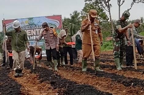 Pj Bupati Merangin, Jangcik Mohza dan Kapolres Merangin AKBP Roni Syahendra saat tanam jagung. (ist)