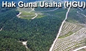 Penataan Ulang Sistem HGU , Menteri ATR/BPN Nusron Wajibkan 20 Persen Plasma Bagi Masyarakat
