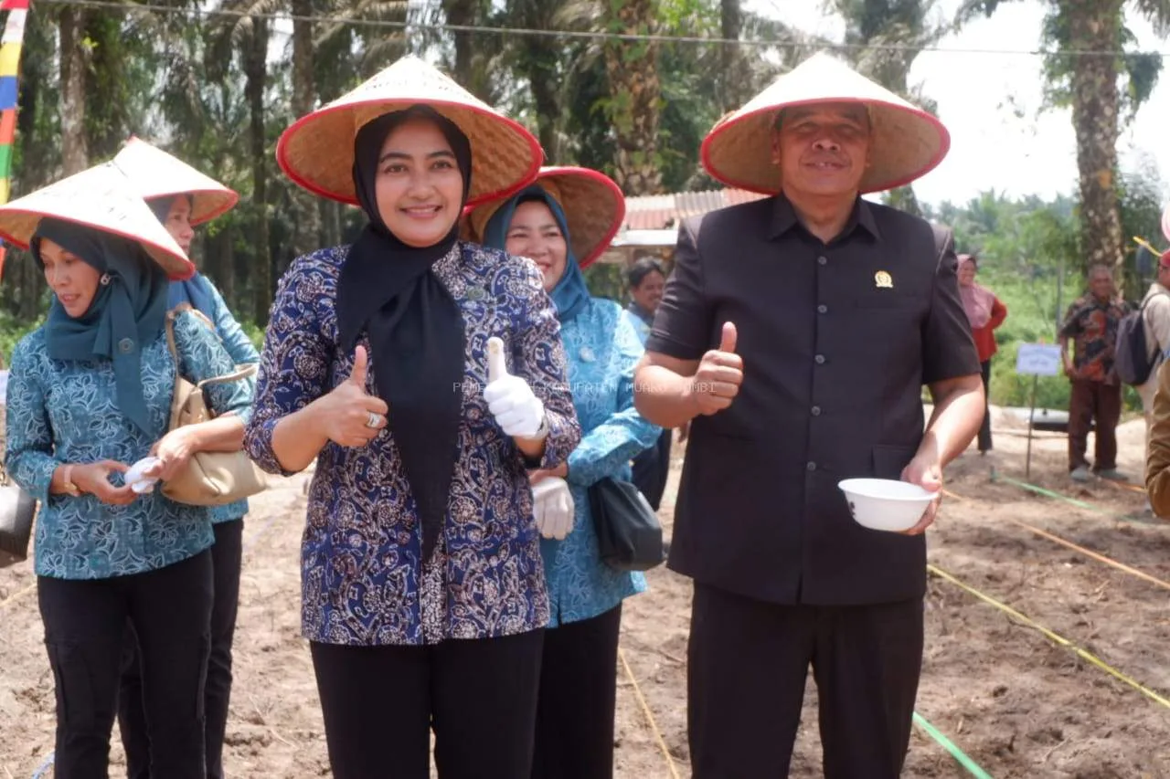 Ketua TP PKK Muaro Jambi Dukung Program Penanaman Jagung 1 Hektar 1 Desa