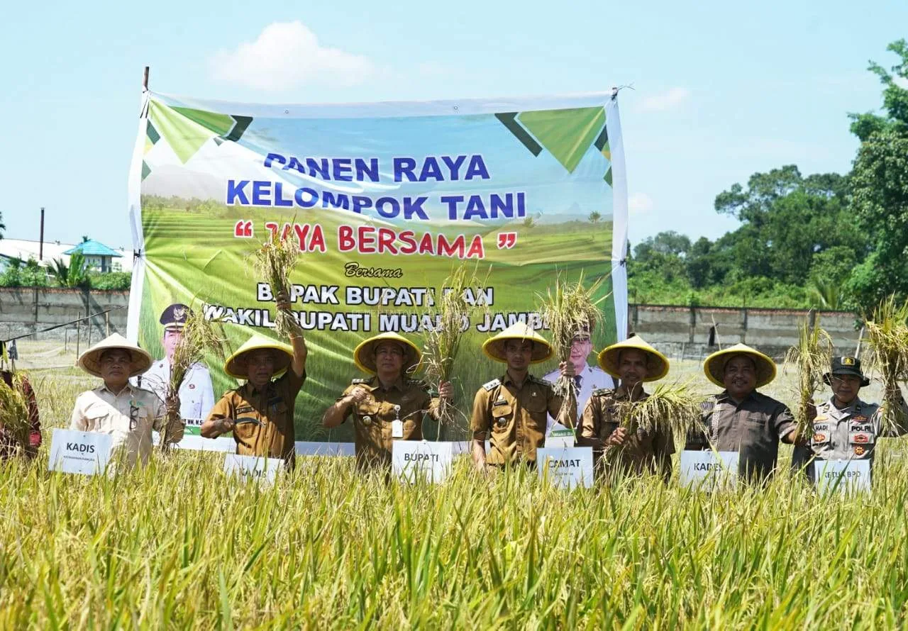 Bupati Muaro Jambi Hadiri Panen Raya Padi di Desa Pudak
